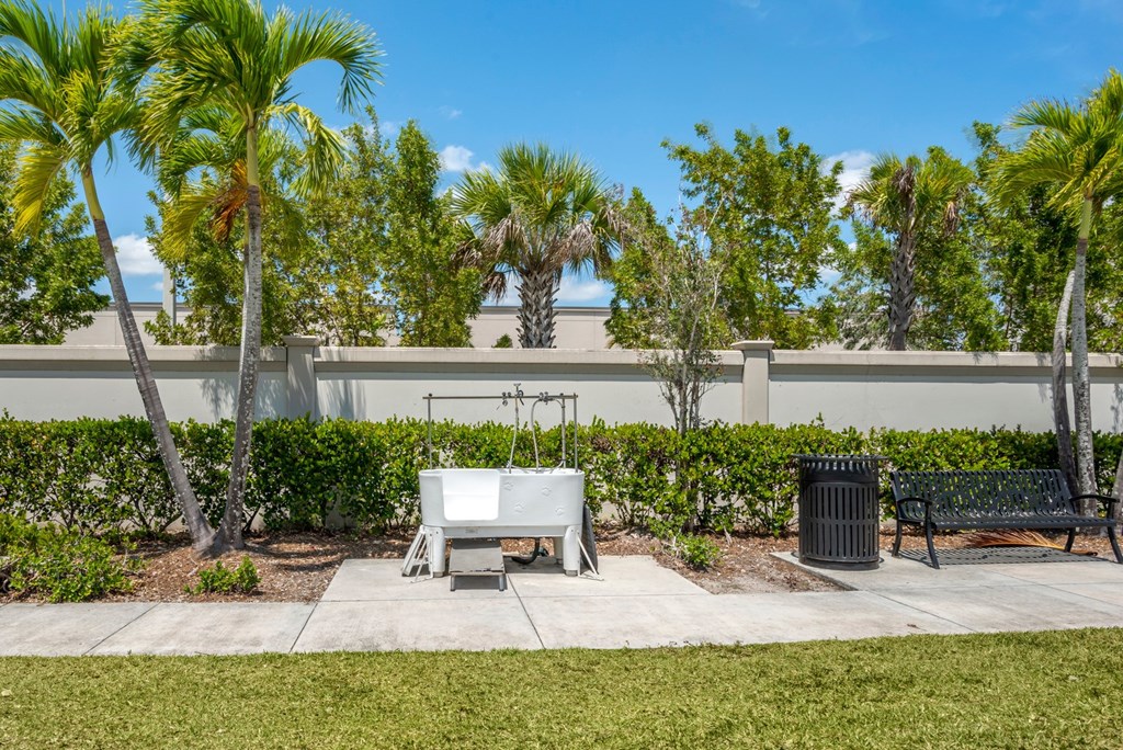 A white bench sits in a park with palm trees and a trash can.