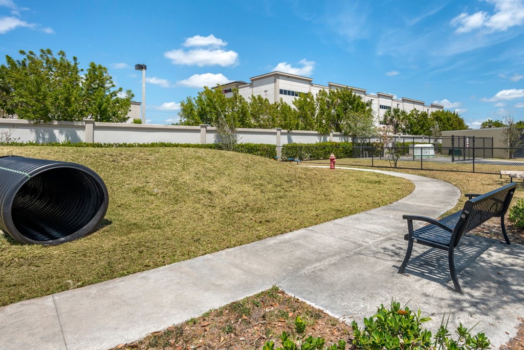 A park with a bench, a fire hydrant, and a tree.