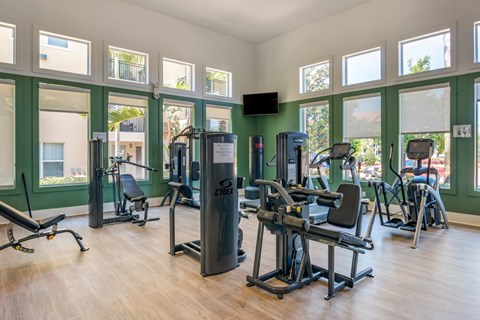 Fitness center with weight machines, benches and cardio equipment under tall windows and a wall-mounted television.