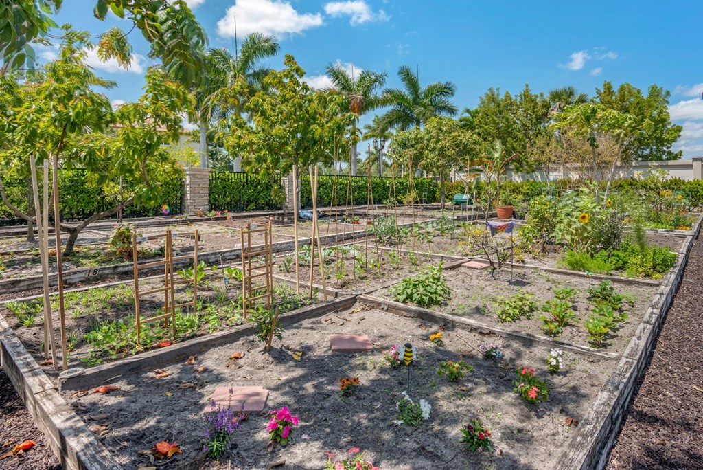 A garden with a variety of plants and flowers.
