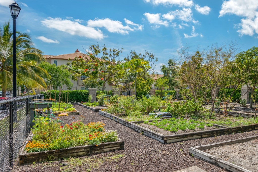 A garden with raised beds and a fence.