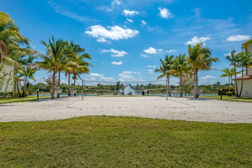 A beach with palm trees and a clear sky.