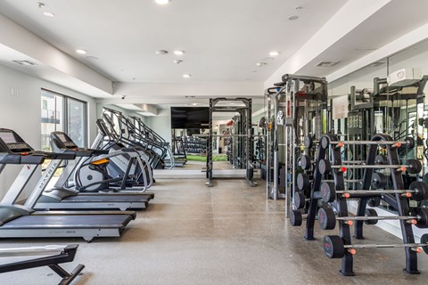 Fitness center with a row of treadmills, a power rack, cable machines and a rack of loaded barbells alongside.