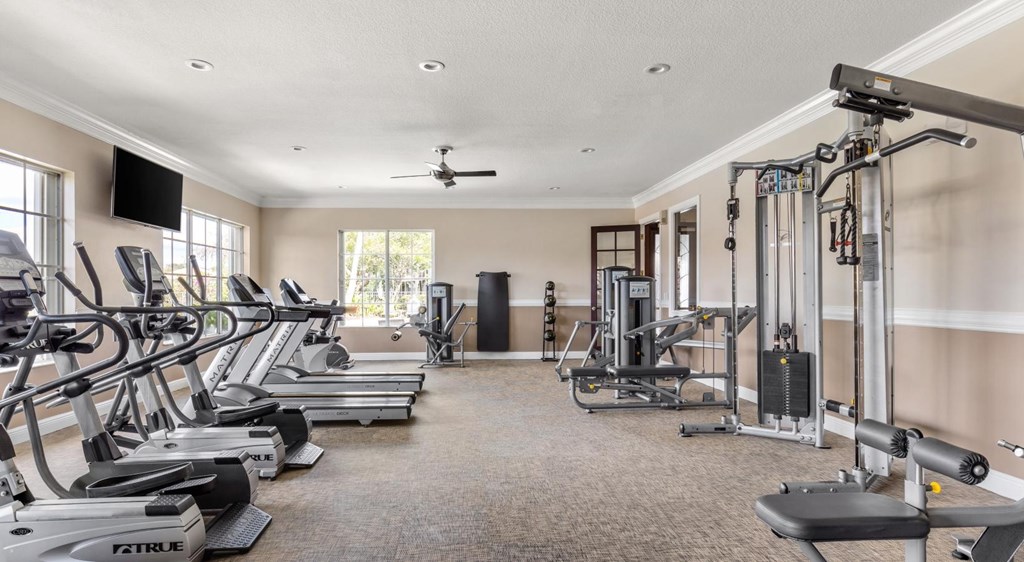 A well-equipped gym with treadmills, elliptical machines, and weightlifting equipment.