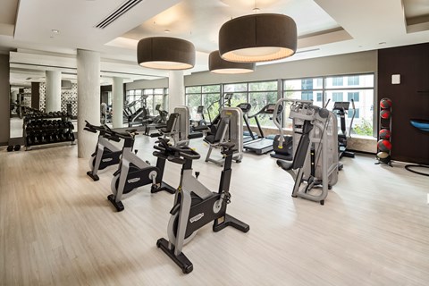 Fitness studio with spin bikes in the foreground and treadmills and strength machines along a wall of windows.