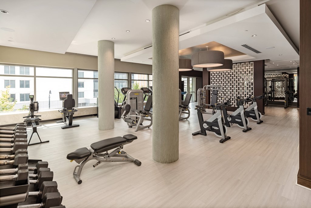 Modern Gym Featuring Free Weights and Cardio Zone in Light Wood Aesthetic