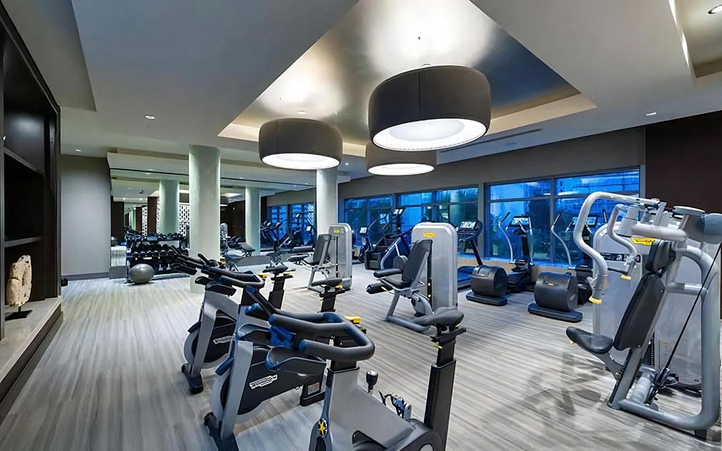 Cardio Machines and Free Weights Cardio Machines and Free Weights