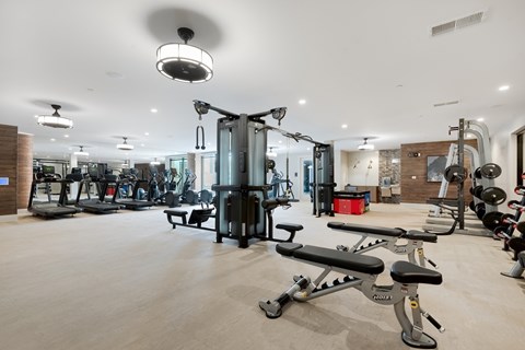 Fitness center with treadmills and ellipticals, a cable machine, adjustable benches, and a rack of free weights.