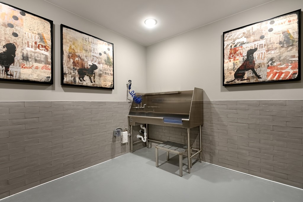 Pet Grooming Station with Stainless Steel Tub and Built-In Dryer Hose