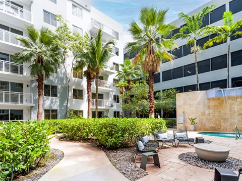 A pool surrounded by palm trees and chairs.