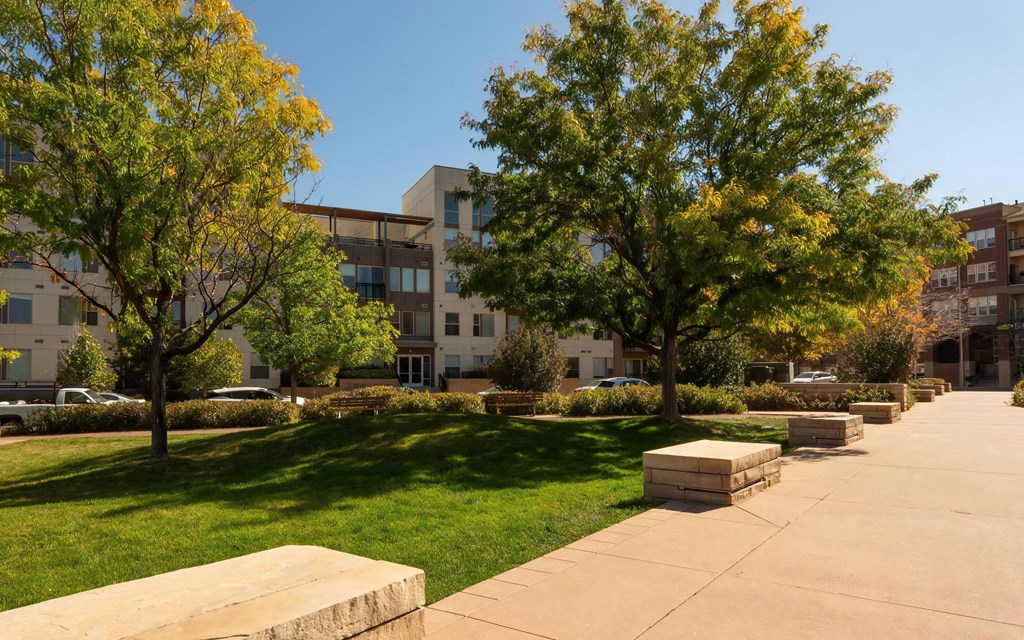 View of Building from Nearby Park