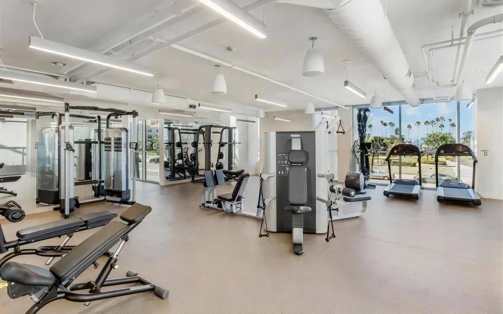 Equipped with Weight and Cardio Machines