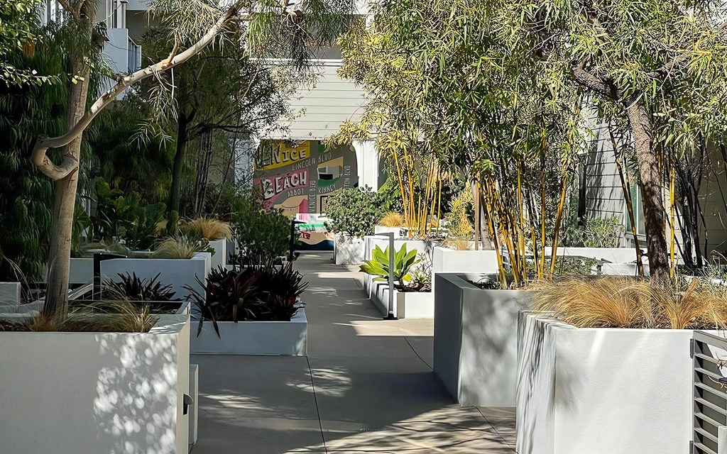 Venice on Rose Community Outdoors Outdoor Courtyard with Mural