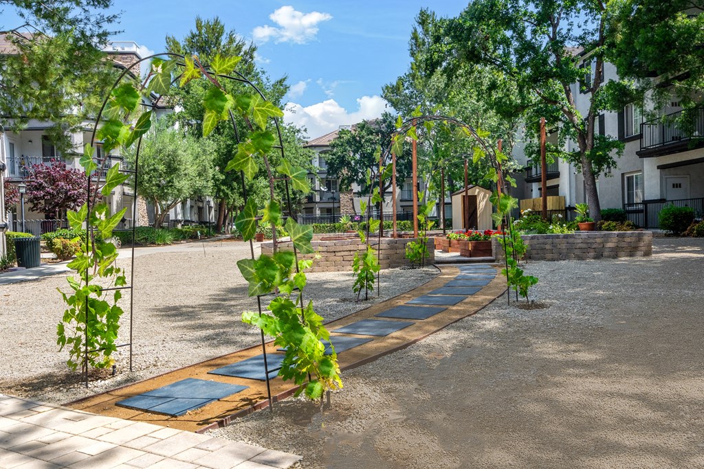 a courtyard with trees and plants and buildings in the background