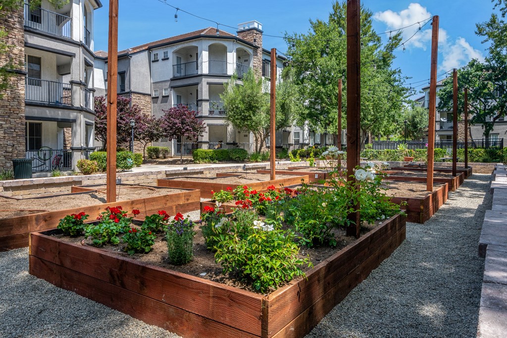 a community garden with wooden planters and flowers in front of an apartment building