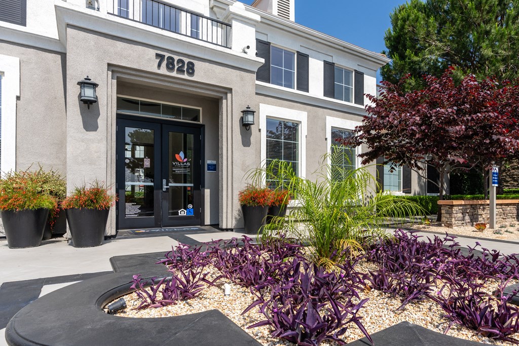 the front of a building with purple plants in front of it