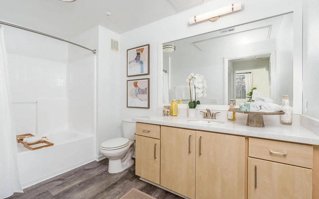 Single Vanity and Soaking Tub