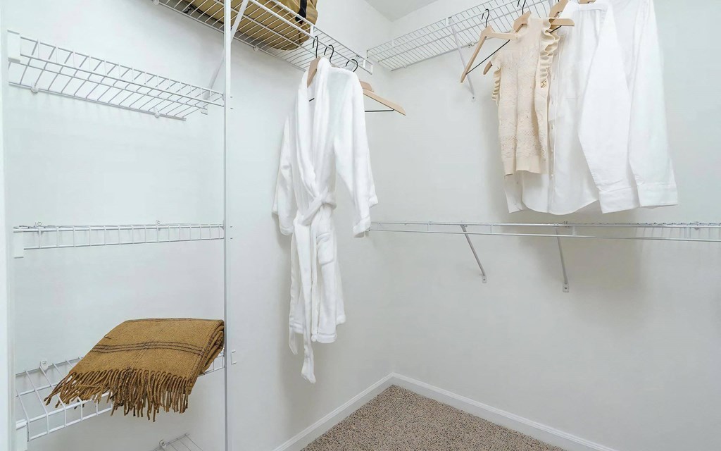 Walk In Closet with Built In Shelves