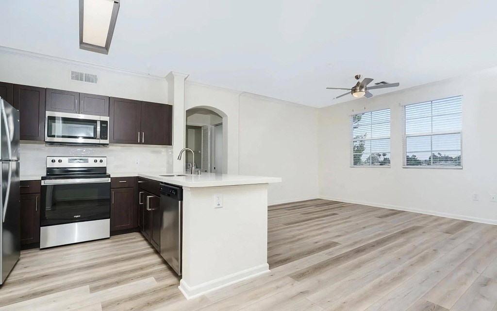 Connected Kitchen and Living Spaces