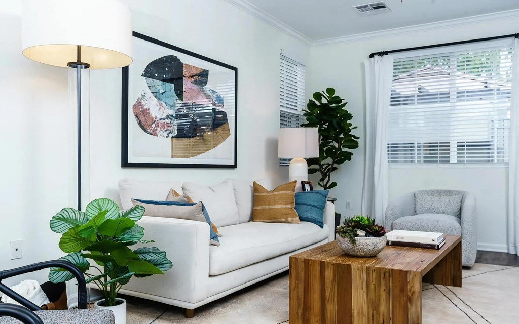 Living Room with Ample Natural Light