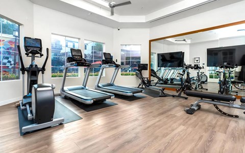 Fitness centre with an elliptical, two treadmills and spin bikes reflected in a mirror, beside tall windows behind them.