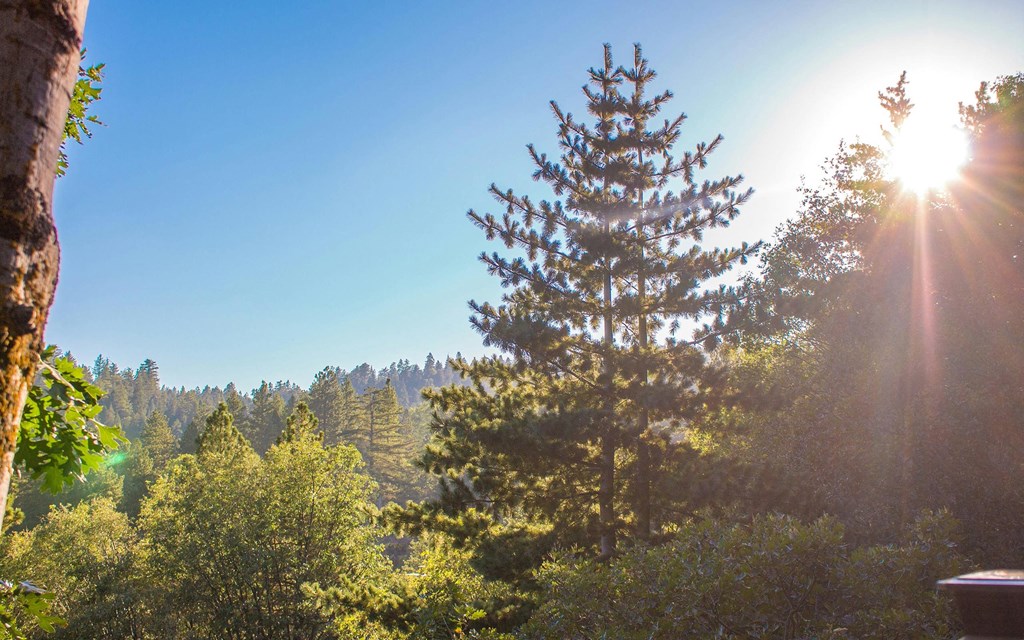 Spend a Weekend Away at Lake Arrowhead