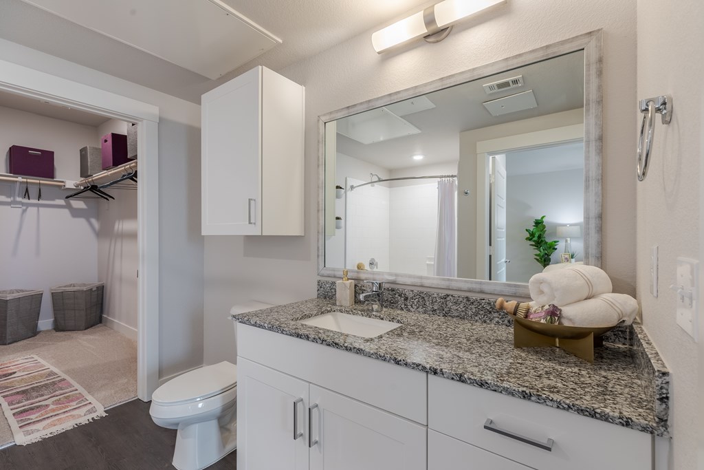 Bathroom With Granite Countertop And Large Mirror