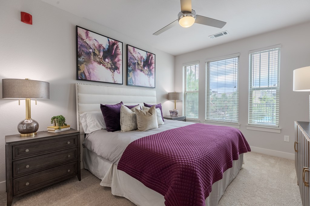 Modern Bedroom With Carpet