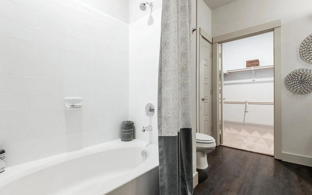 Shower and Tub Combination