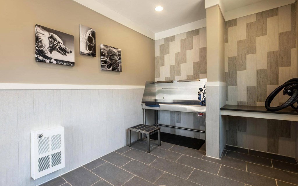 On-Site Pet Wash Station With Stainless Steel Tub And Washing Equipment