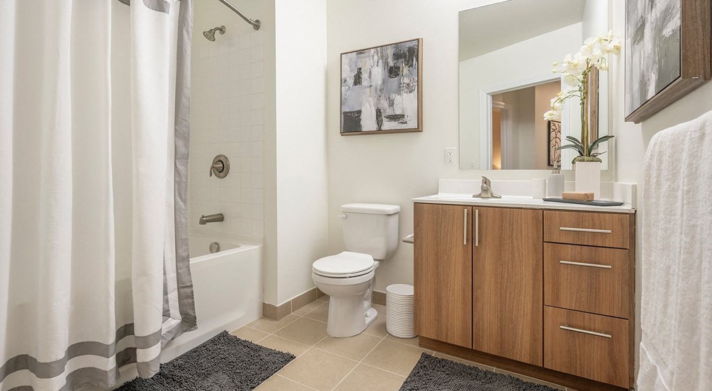 Luxurious Bathrooms with Large Showers