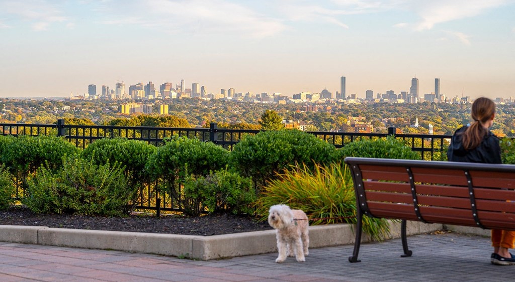 Outdoor Entertainment Areas with Downtown Boston Views