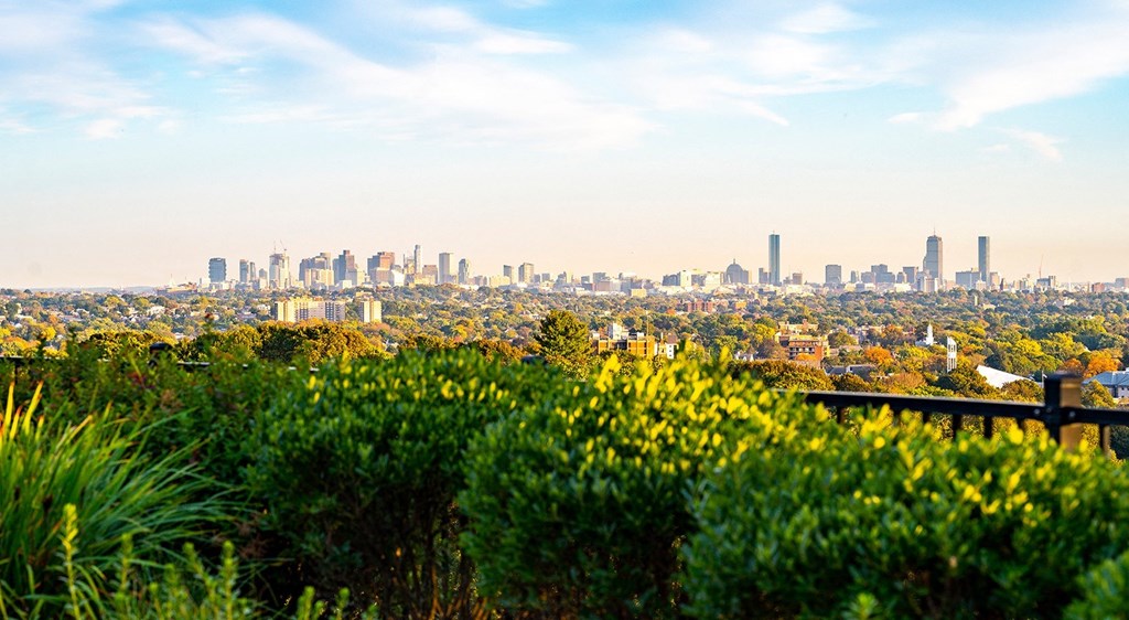 Downtown Boston Views