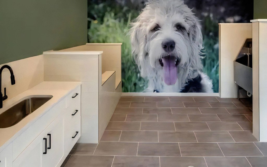 Broadstone Upper Westside Community Pets Pet Friendly Community with Grooming Station