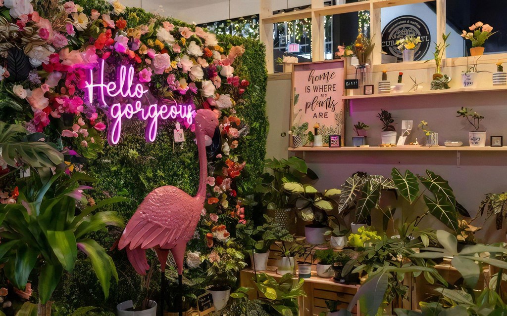 Broadstone Upper Westside Community Shopping Located close to Major Shopping Centers