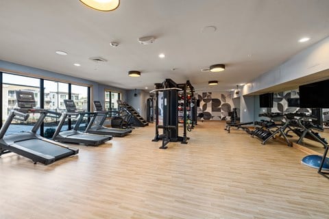 Fitness floor with treadmills, a functional trainer, benches, dumbbells, and a punching bag along a mirrored wall.