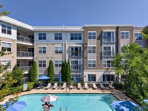 330 Paradise Road 1-3 Beds Apartment for Rent