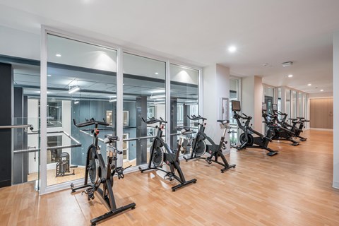 A gym with a row of stationary bikes.