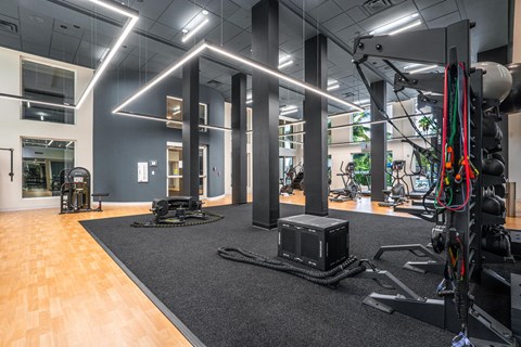 A gym with a variety of equipment including a squat rack, a bench, and a weight machine.