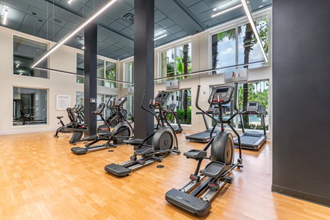 A gym with treadmills and exercise bikes.