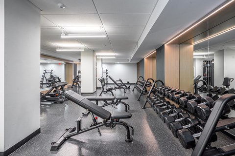 A gym with a variety of equipment including dumbbells and weight machines.