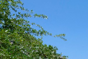 Pool - Photo Gallery 3