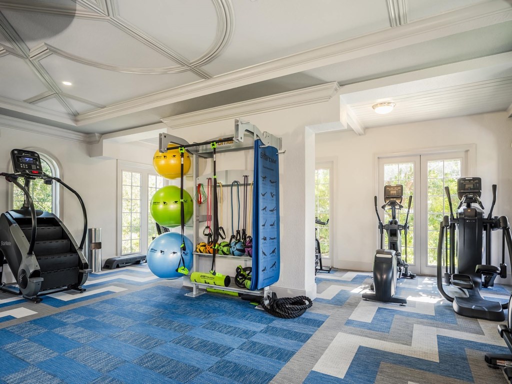 Modern gym featuring resistance bands, balance balls, and cardio machines with natural light.