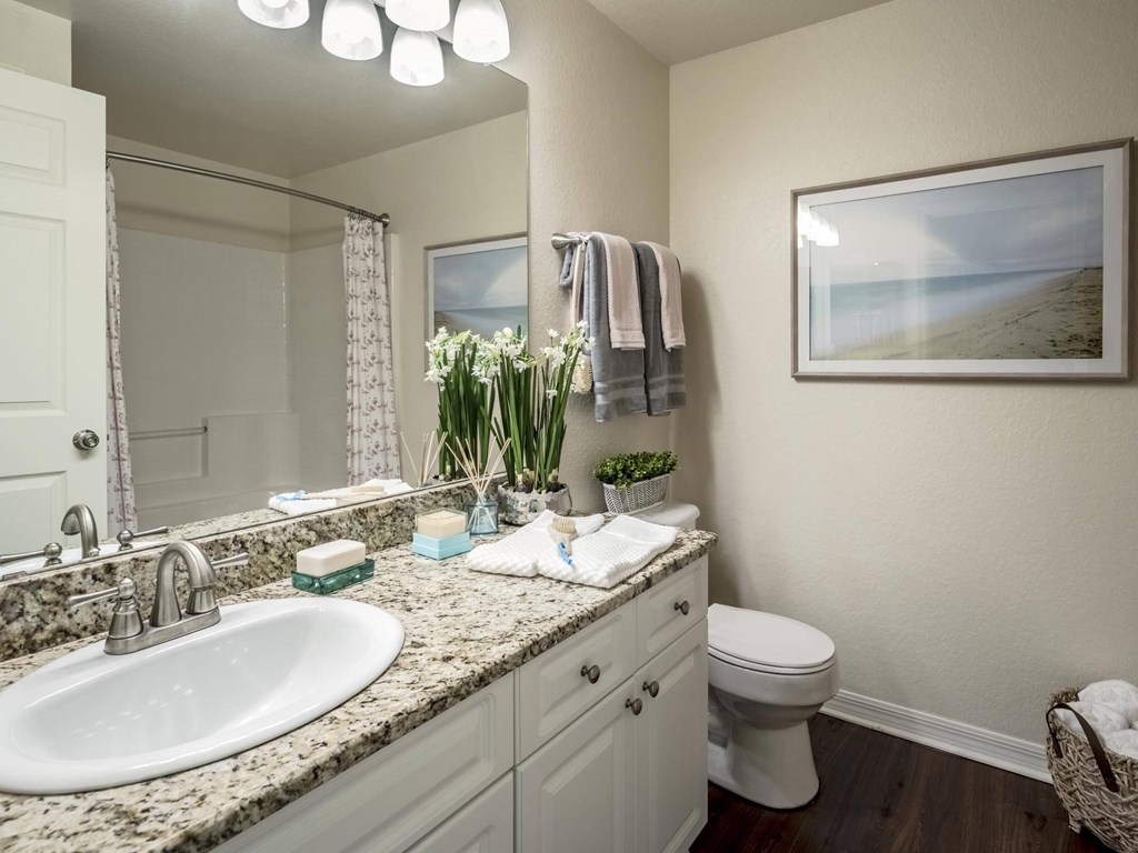 Bathroom with granite vanity, framed art and bright lighting