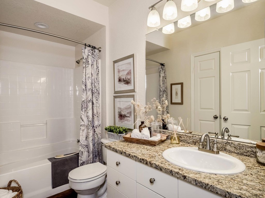 Bathroom with granite vanity, framed art and tub shower