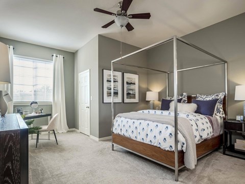 Bedroom with a metal canopy bed, a ceiling fan, a writing desk under the window and a gray painted accent wall.