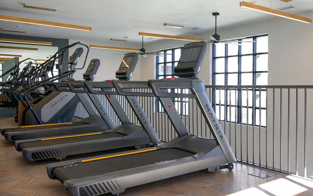 Multiple treadmills and elliptical with stair stepper at Novel Cary