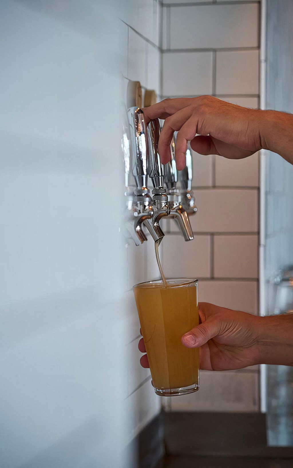 Enjoy local bars and exciting breweries near Novel Cary