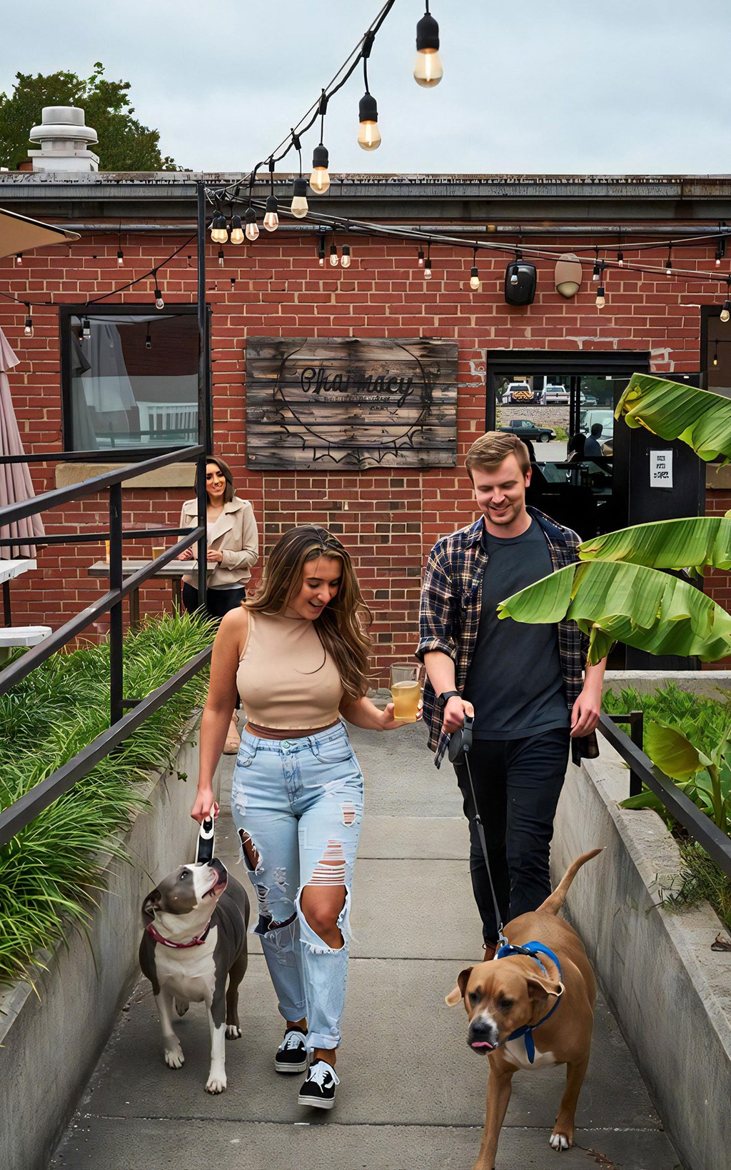 Go to one of the many pet-friendly places near Novel Cary