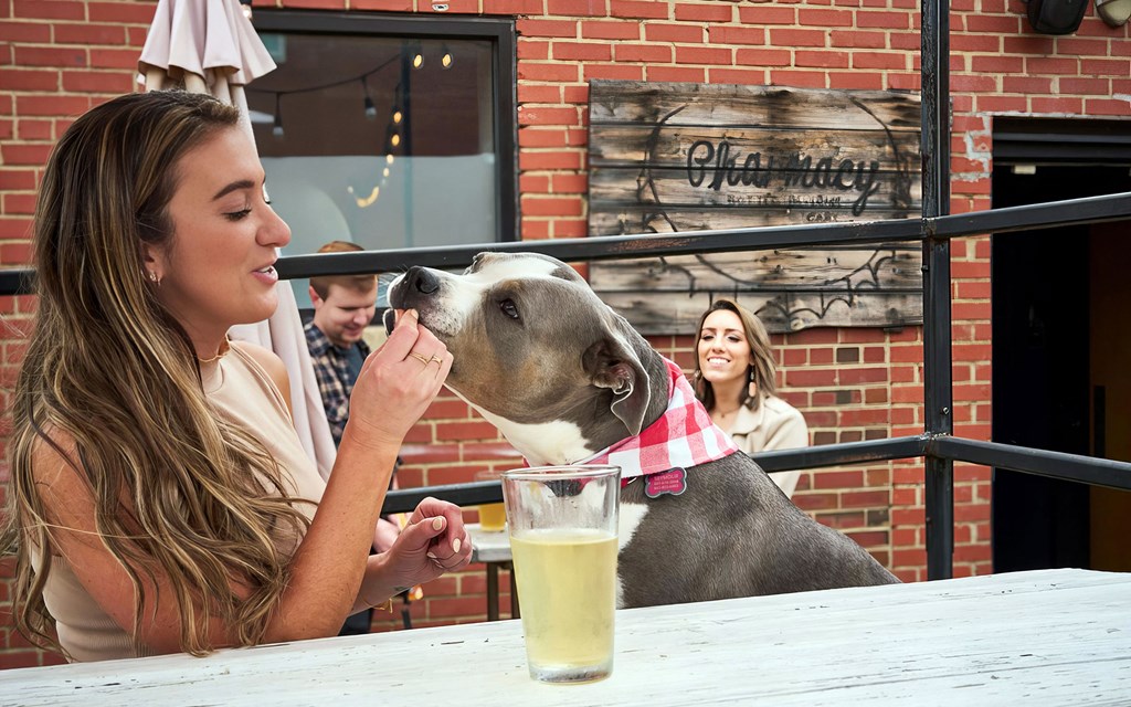 Take your pets to the outdoor areas at the local Pharmacy Bottle + Beverage near Novel Cary